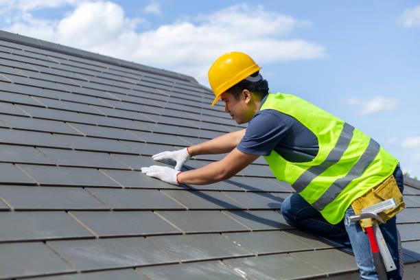 Best New Roof Installation  in Warren, IL