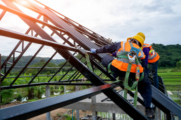 Best Best Roofing Contractors  in Warren, IL