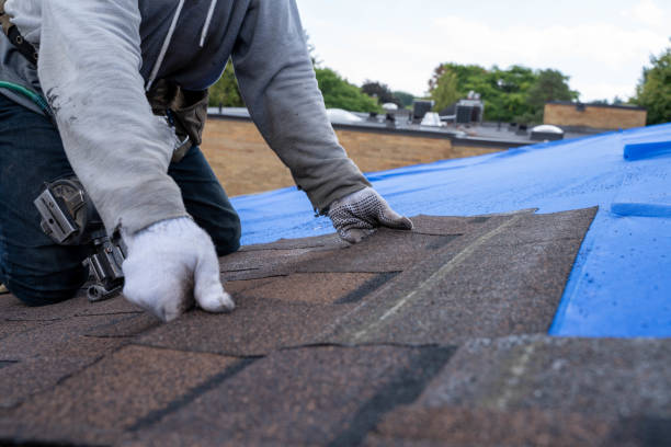 Quick and Trustworthy Emergency Roof Repair Services in Warren, IL
