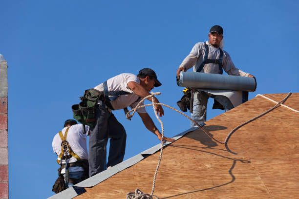 Best New Roof Installation  in Warren, IL