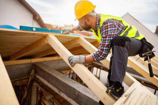 Best Roof Restoration Services  in Warren, IL