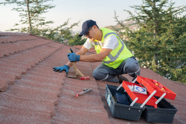 Best Flat Roof Repair Services  in Warren, IL