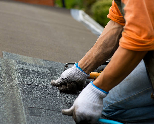Professional Roofing Contractor in Warren, IL