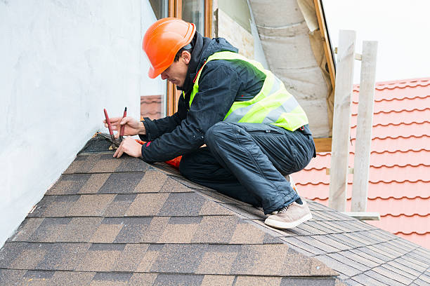 Best Shingle Roofing Installation  in Warren, IL