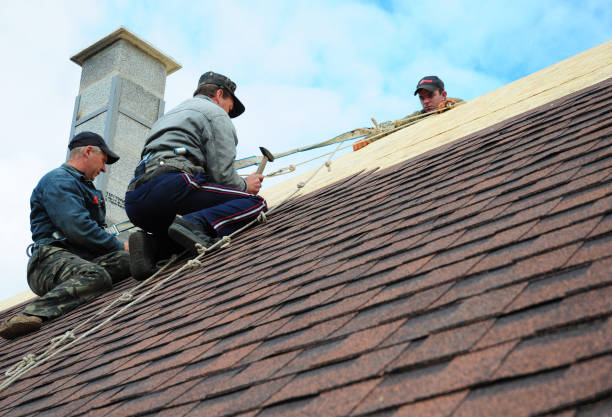Best Slate Roofing Contractor  in Warren, IL